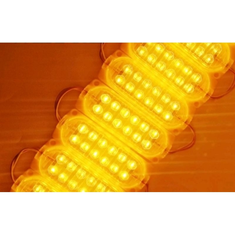 Jual LED RENTENG MODULE 12 MATA ULTRASONIC 24V WATERPROOF MODUL 2835 ...