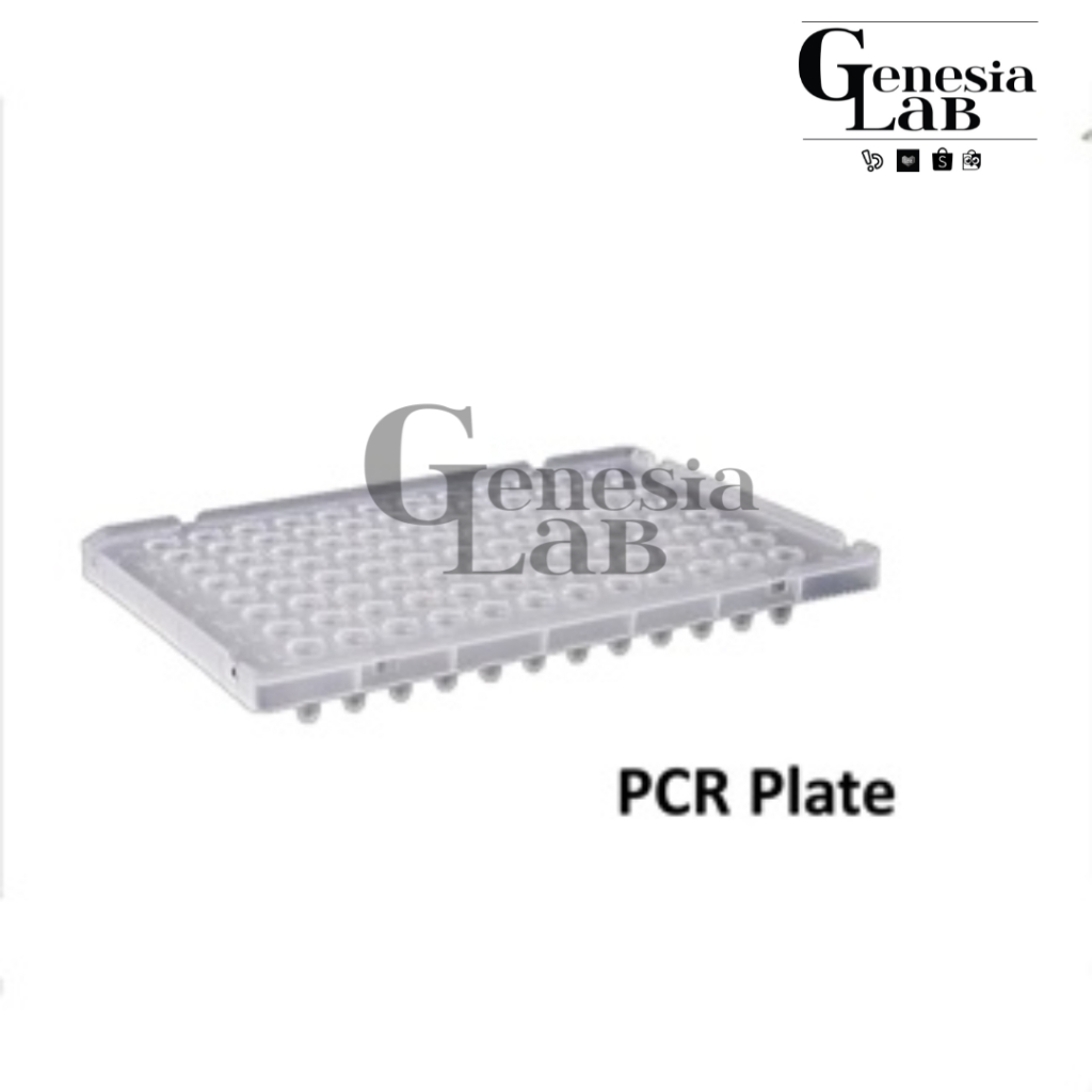 Jual PCR Plate 96 Well 0,2 ml Half-skrited 20 pcs Bioseen Cat. SGB015-H ...