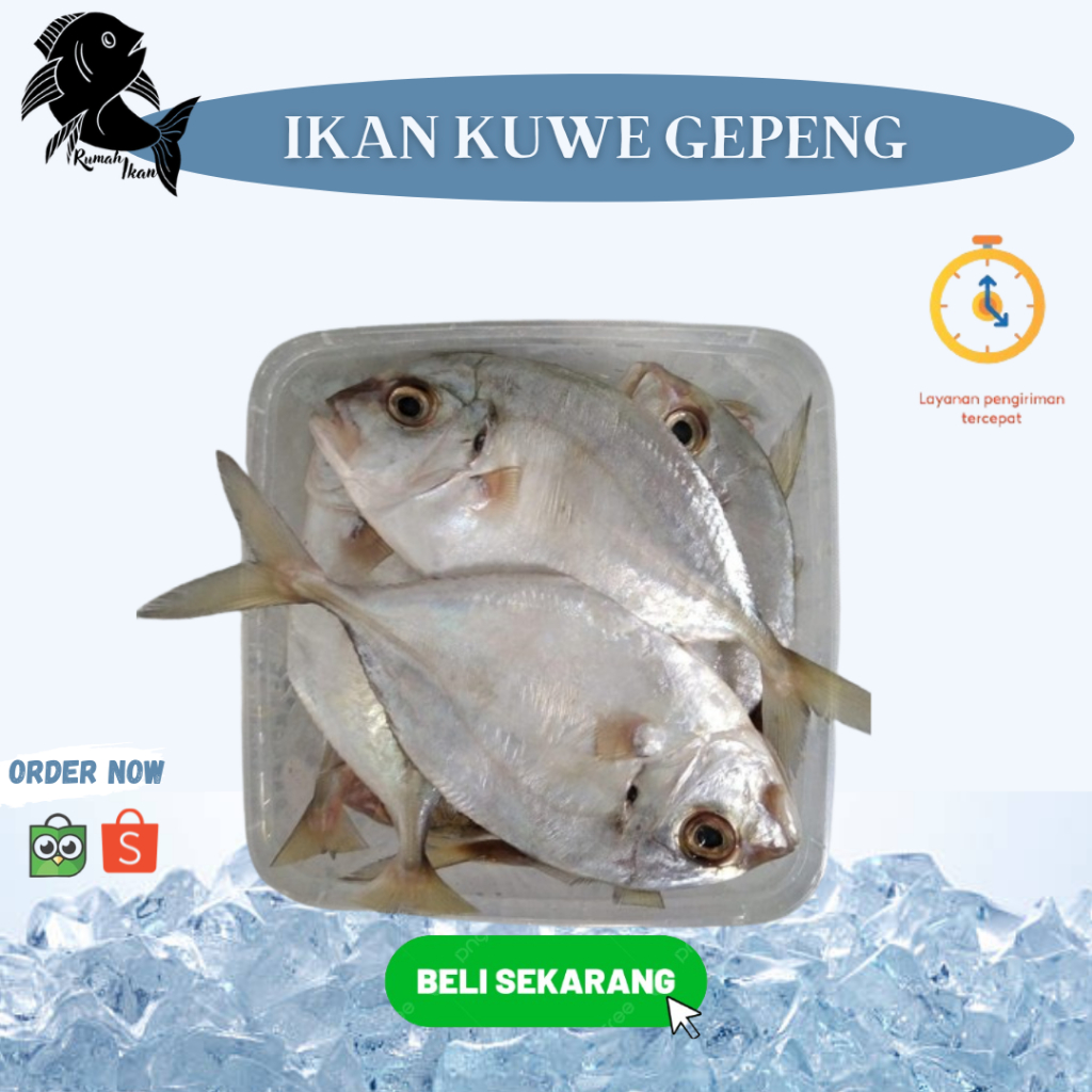 Jual Ikan Kuwe Rumah Ikan Segar 1Kg | Shopee Indonesia