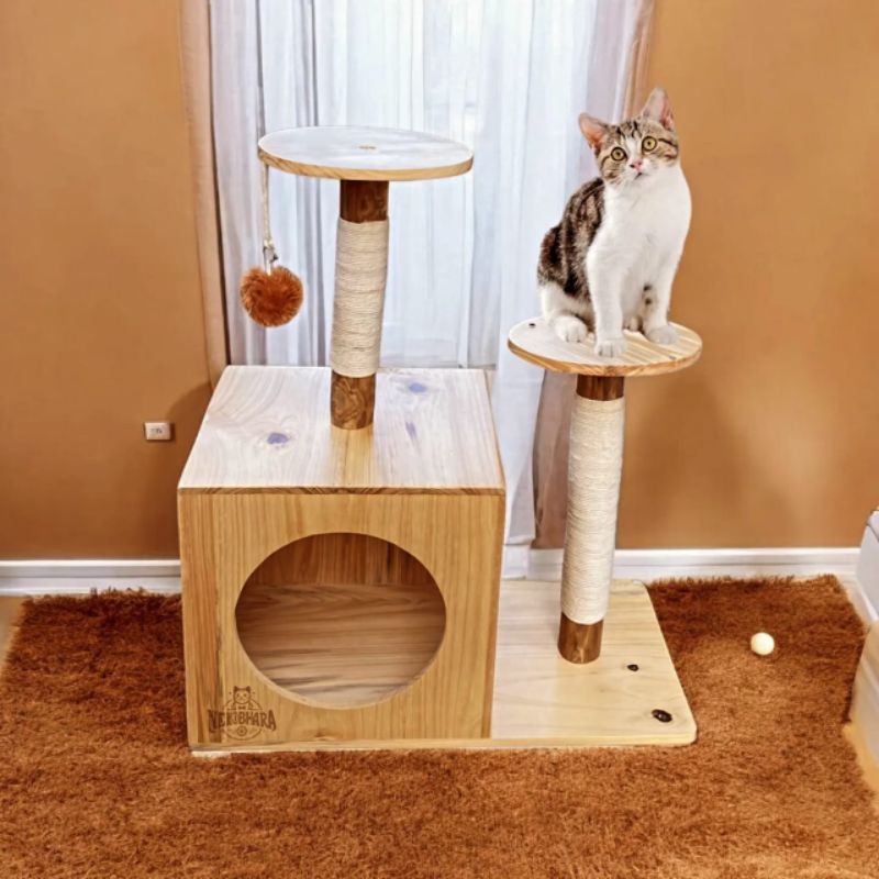Jual cat condo sale