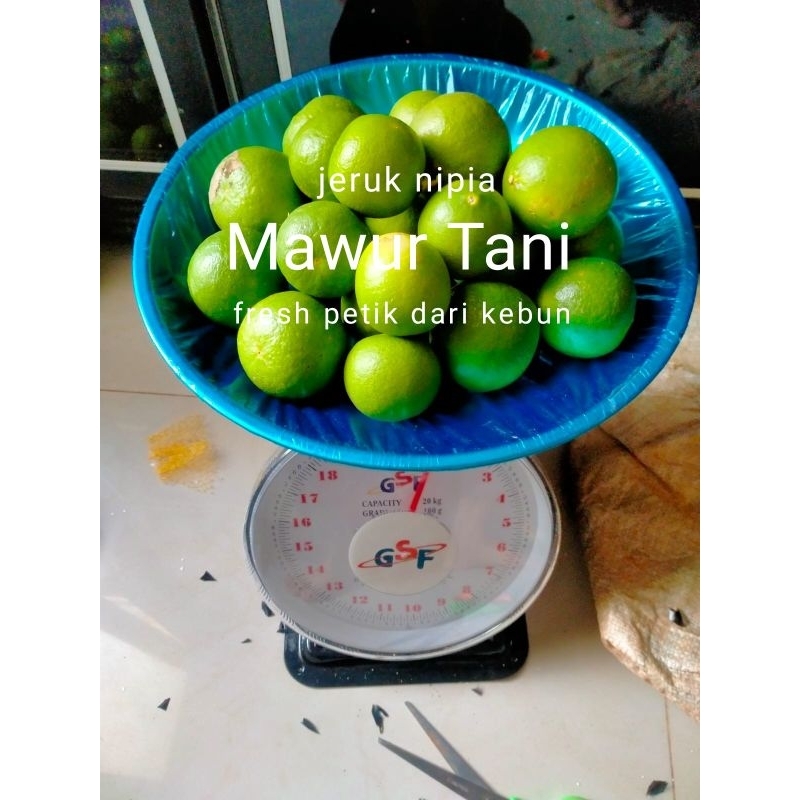 Jual Jeruk nipis ( 1kg ) | Shopee Indonesia