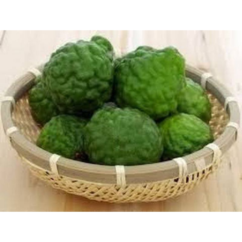 Jual jeruk purut 1kg / jeruk purut Segar / herbal / buah / bumbu dapur ...