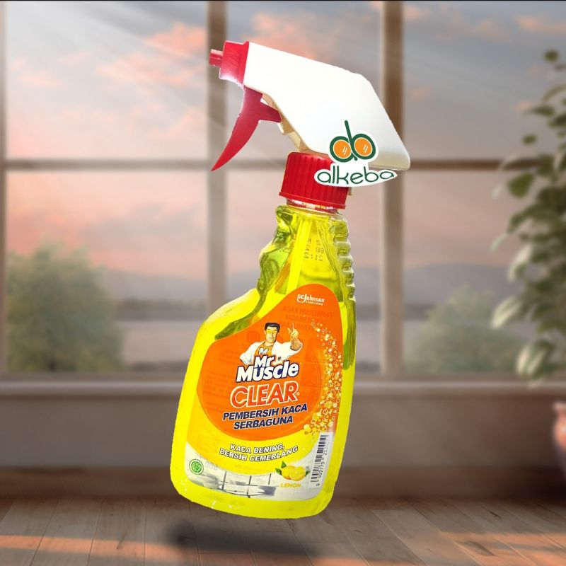 Jual MR Muscle Glass Cleaner / Pembersih Kaca Spray 500ml | Shopee ...