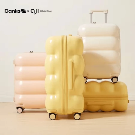 Danke x Aji Pillow 24Inch