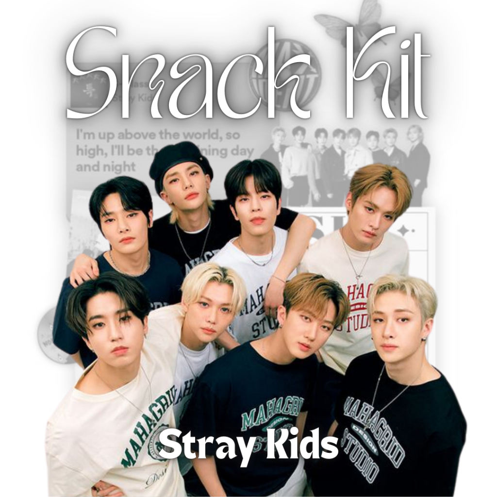 Jual (BACA DESKRIPSI) STRAYKIDS SKZ SNACK KIT // ULTRA MILK, POCKY ...