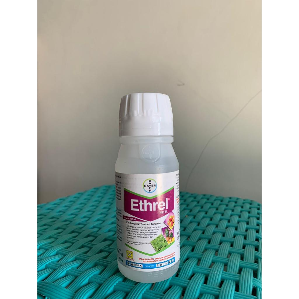 Jual ETHREL 480SL-ZAT PEMATANG BUAH (100ML) | Shopee Indonesia