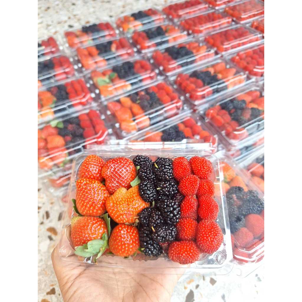 Jual Buah Raspberry I Mulbery per pack ± 200 gram | Shopee Indonesia