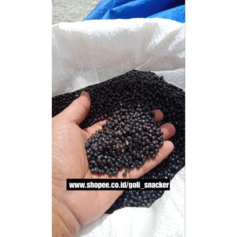 Jual Biji Kacang Gude Undis Hiris Gudhe Mentah 500 Gram | Shopee Indonesia