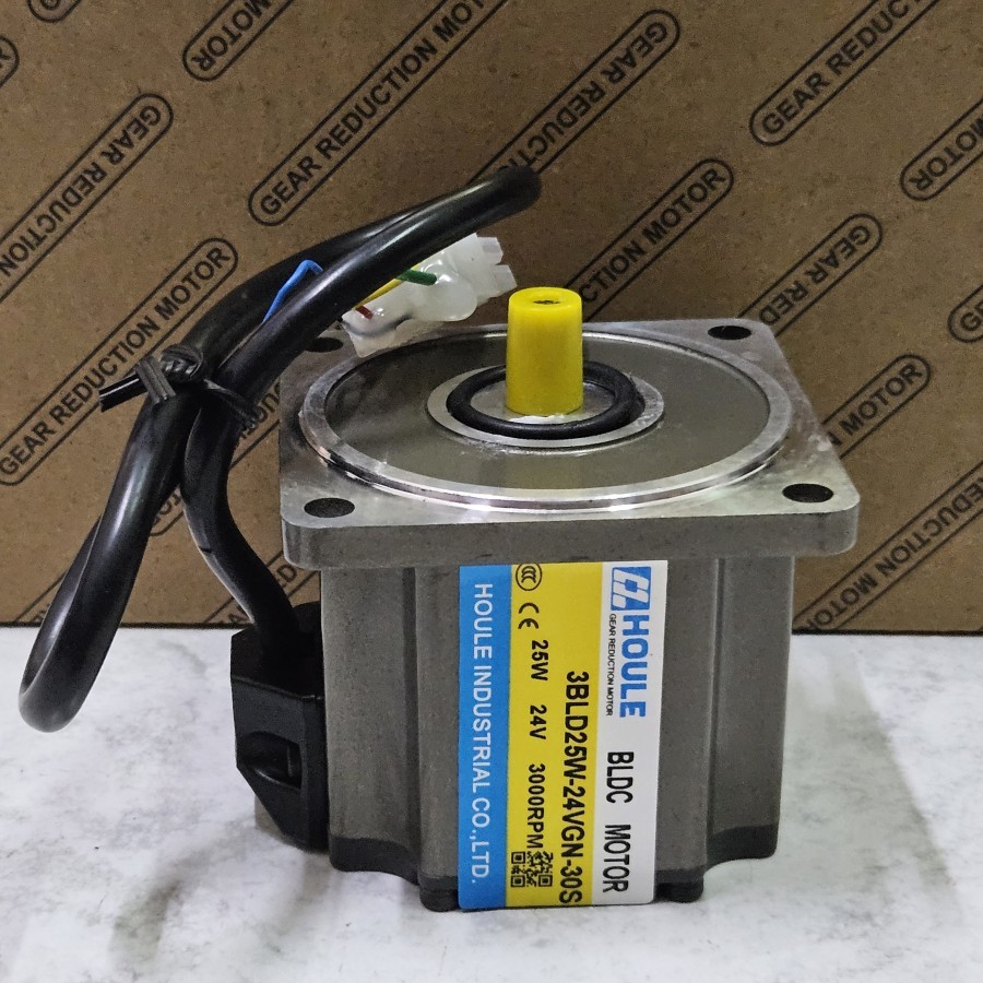 Jual Houle Motor 25W 24V BLDC Gear Motor Brushless DC 3BLD Reversible ...