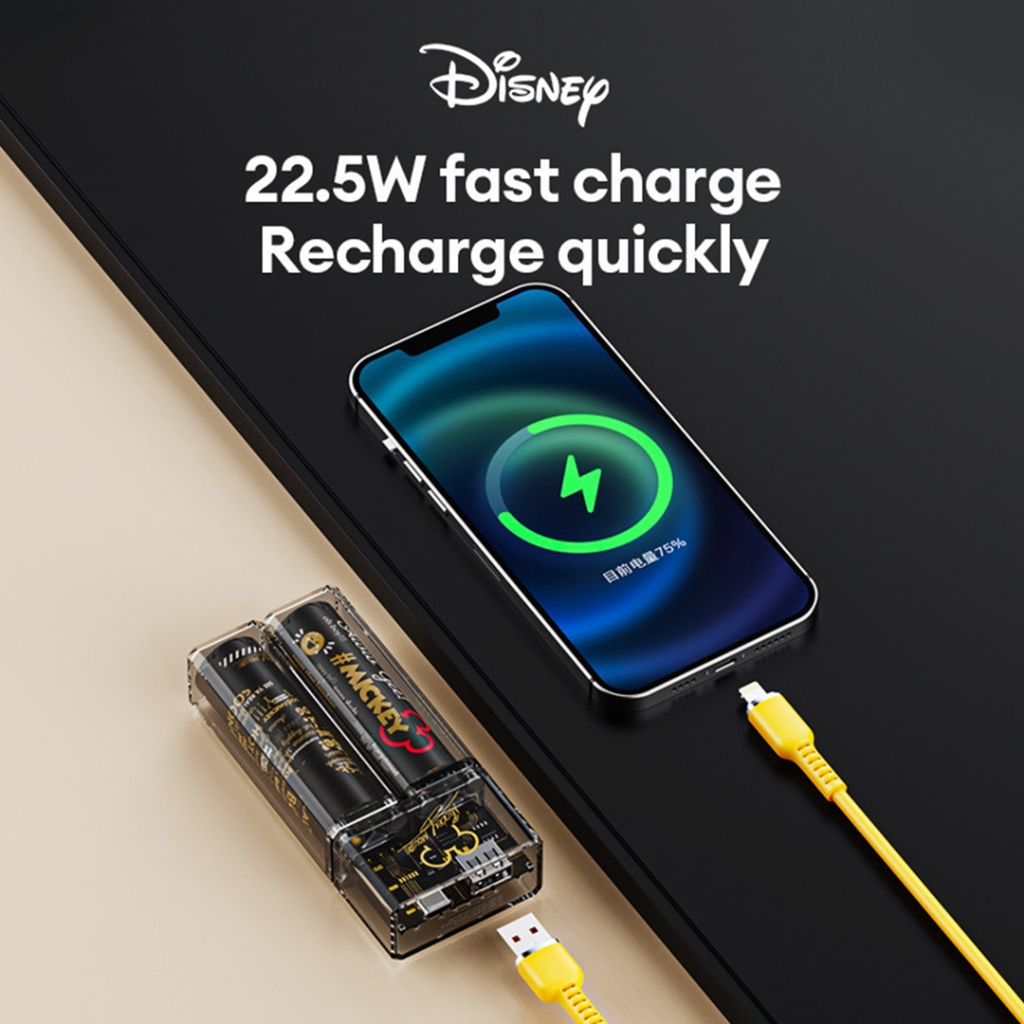 Jual Thinkplus x Disney D01 Mini Power Bank 22.5W Fast Charging Dual ...
