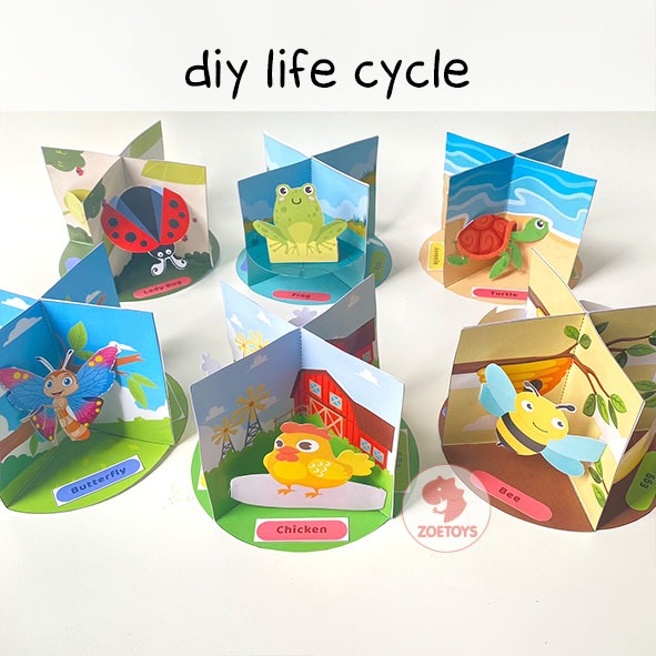 Jual Zoetoys DIY Life Cycle | Belajar Diorama Metamorfosis Sempurna ...