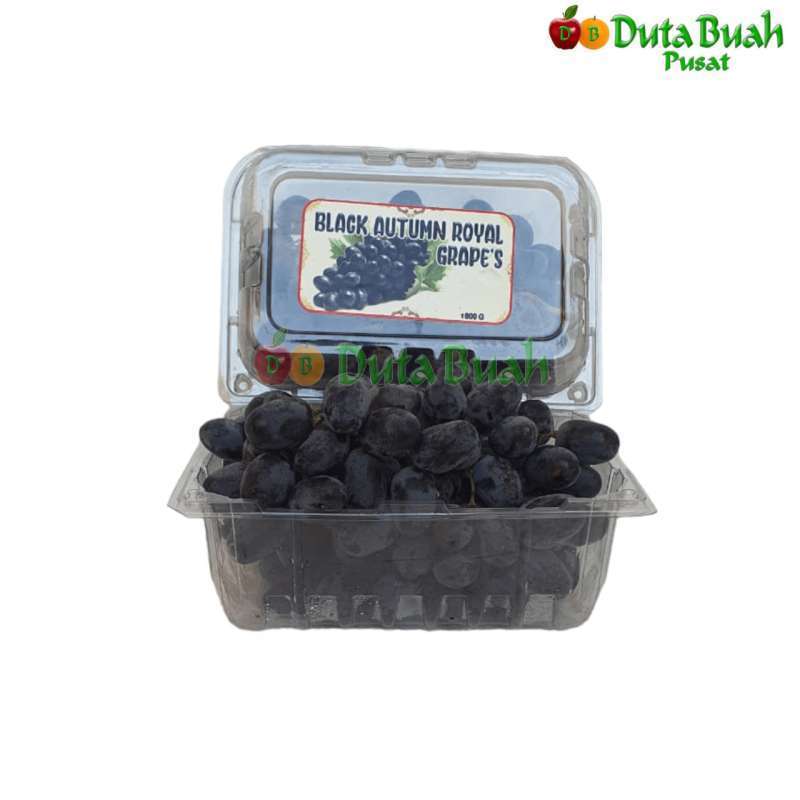 Jual DUTA BUAH ANGGUR AUTUM ROYAL RRC ( +-800 gram ) | Shopee Indonesia