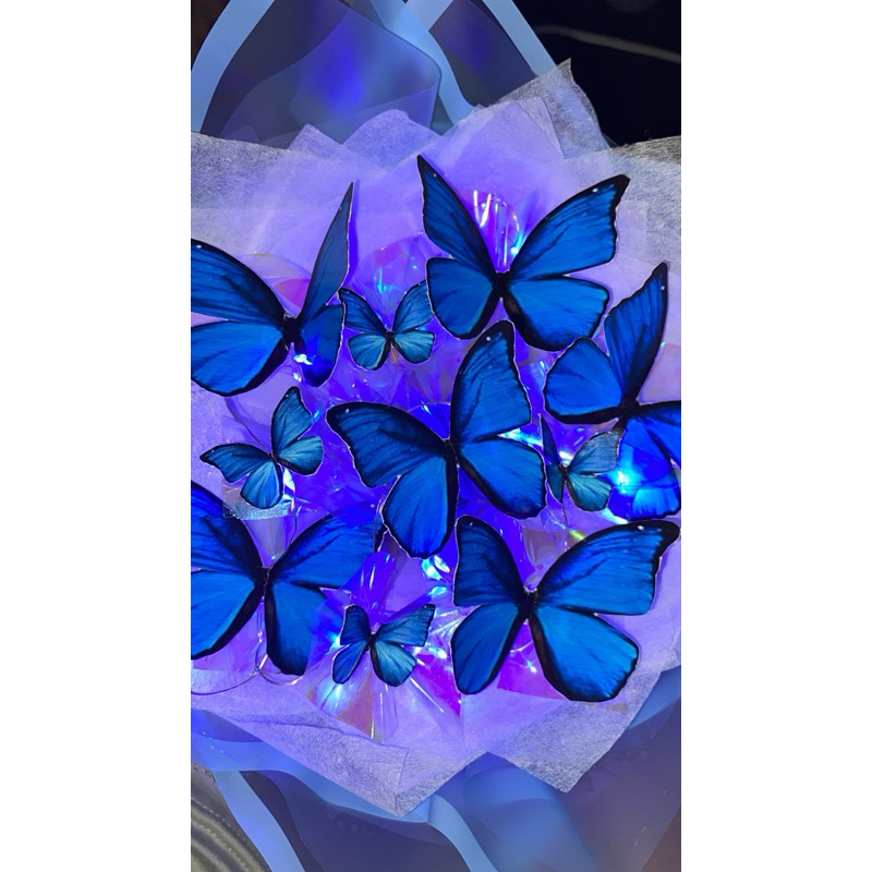 Jual Buket Kupu” Led // buket kupu” lucu dan banyak warna // buket kupu ...