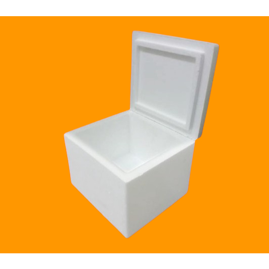 Jual STYROFOAM BOX MINI 20,5 X 18,2 X 15,3 CM / BOX XS2 / BOX XS 2 ...