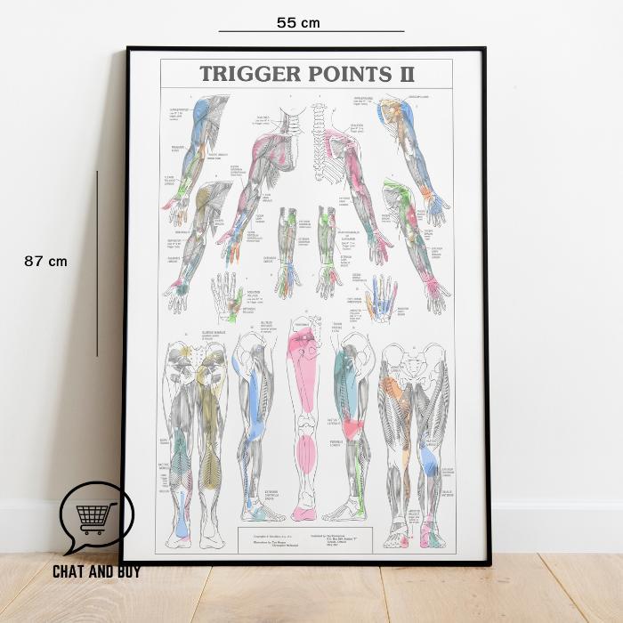 Jual Trigger Point set - Trigger Point Chart Poster / Poster ...