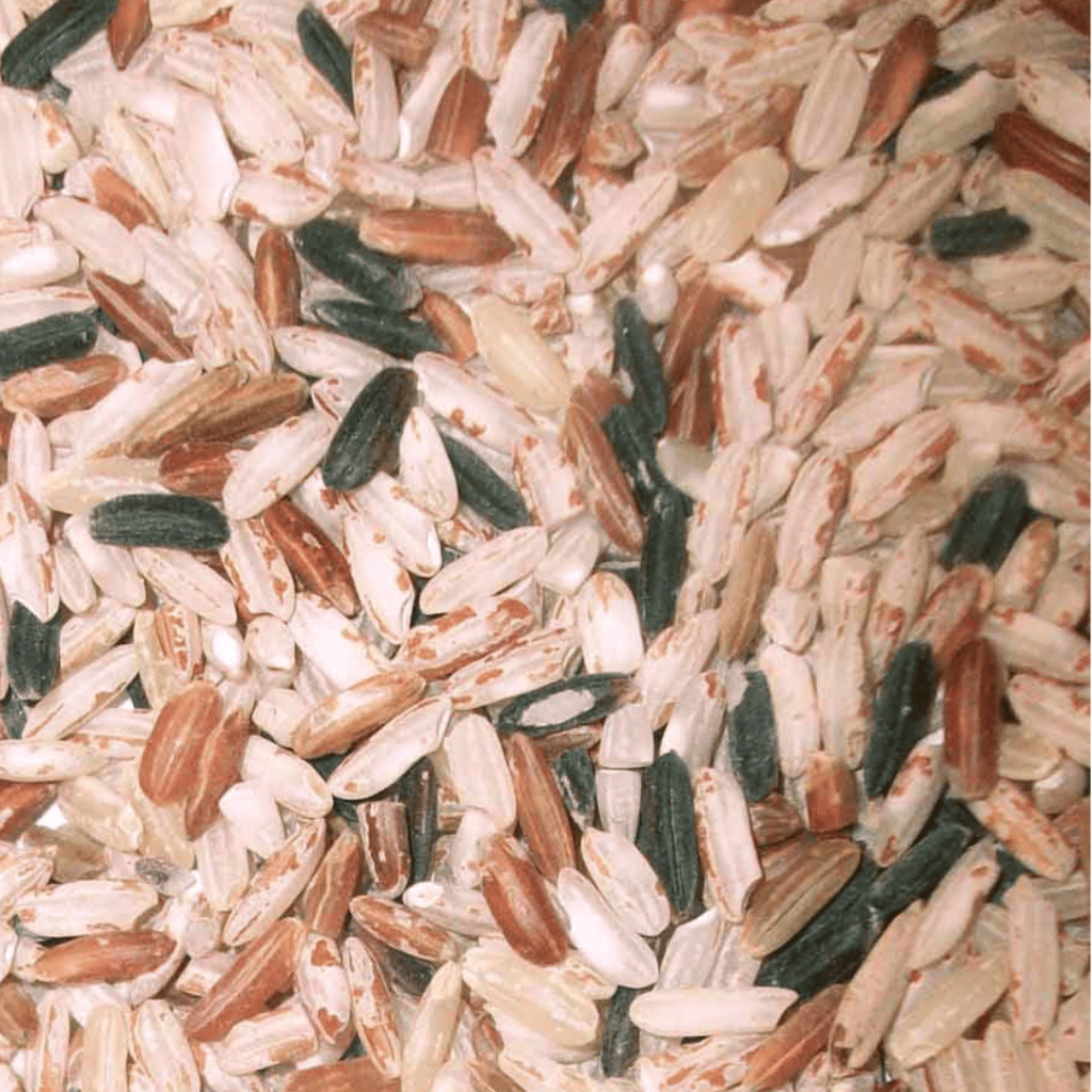 Jual Beras Rainforest - Rainforest Rice Sunria - 5kg | Shopee Indonesia