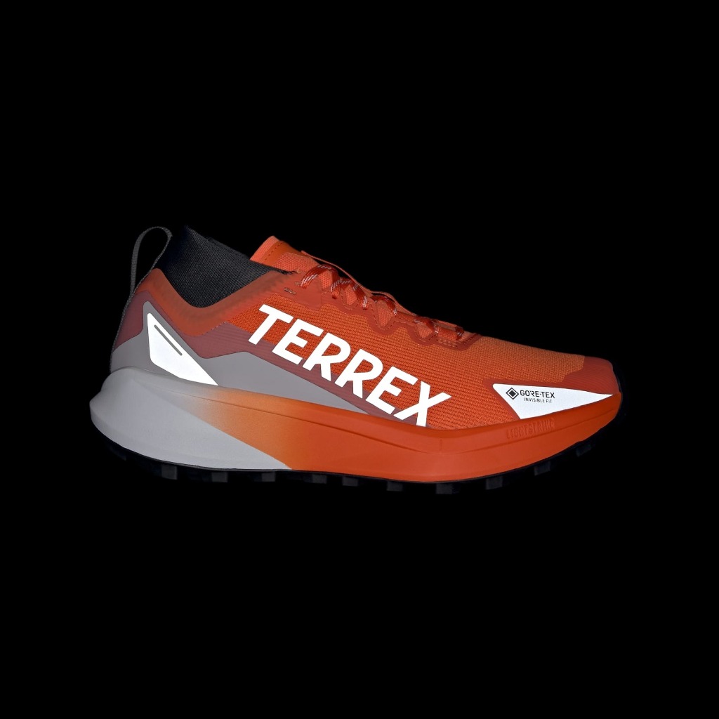 Jual ADIDAS Terrex Agravic GTX Trail Running Shoes JR5241 / 20251 ...