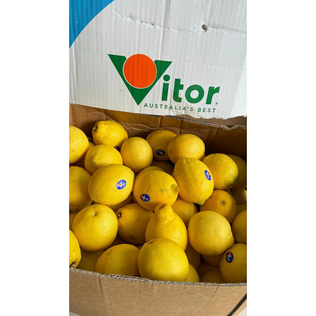 Jual Lemon Import (KG) | Shopee Indonesia