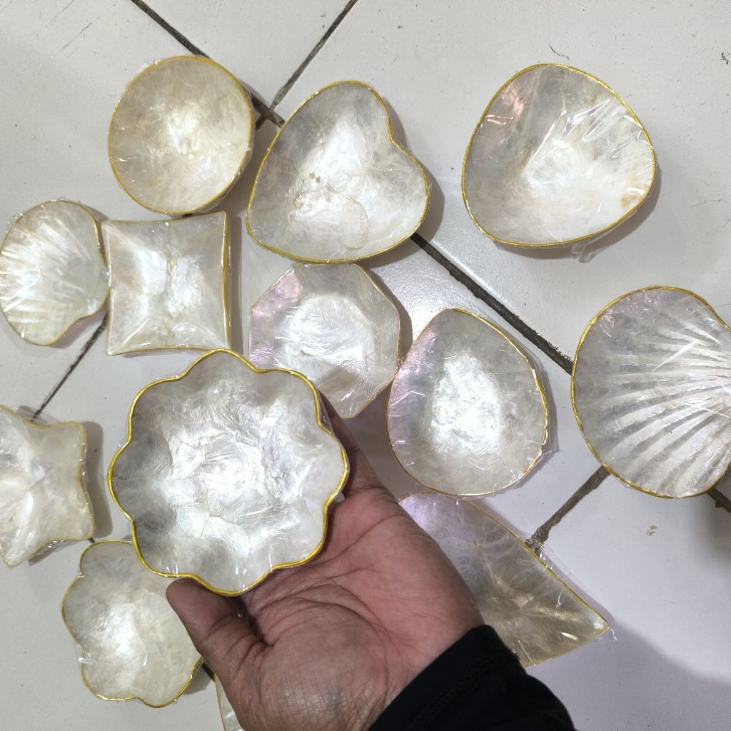 Jual mini plate shell white piring kerang mini putih | Shopee Indonesia