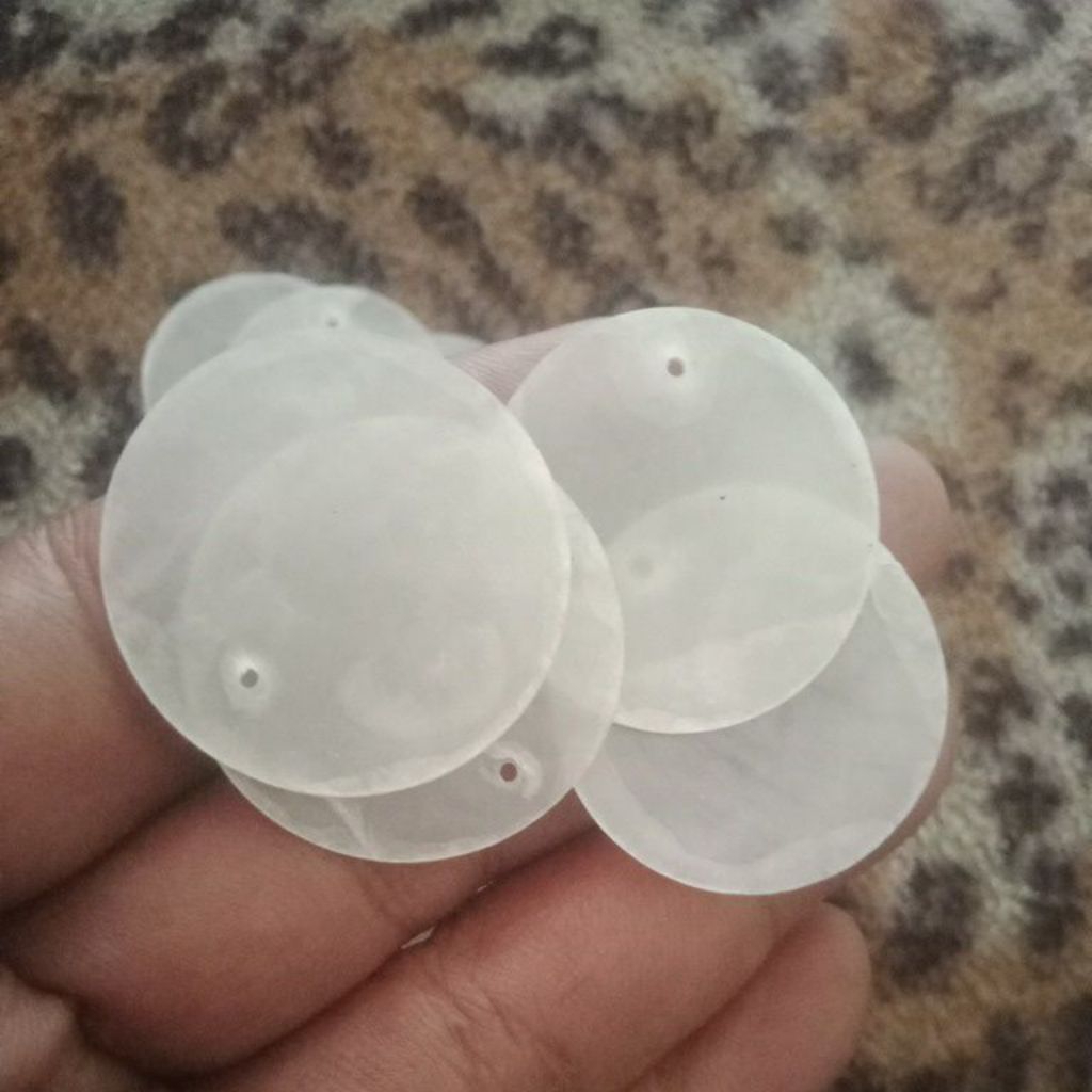 Jual cangkang kerang simping putih/kapis ukuran diameter 3 cm | Shopee ...
