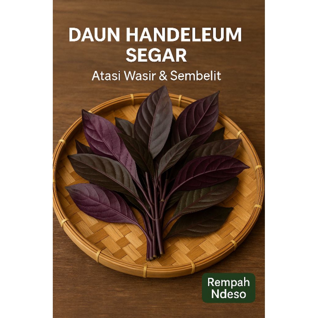 Jual Daun Ungu (Handeuleum) Segar 200 Gram (±100 Lembar) | Herbal Alami ...