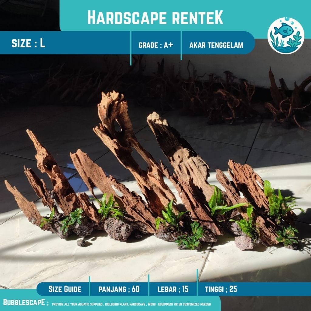 Jual HARDSCAPE AKAR TENGGELAM SIZE L (Besar) RENTEK |Ornamen Hiasan ...