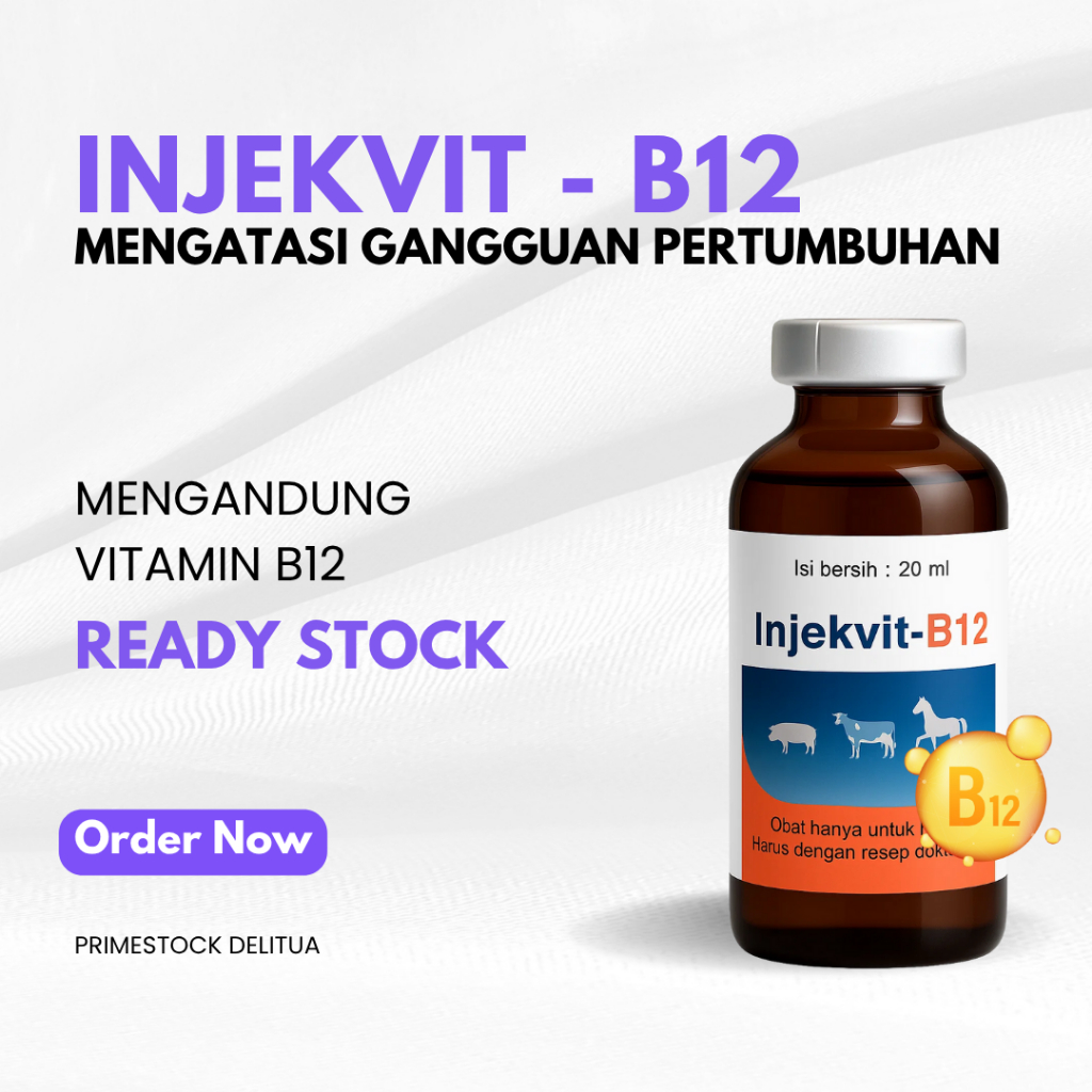Jual Injekvit-B12 20ml: Vitamin B12 Injeksi untuk Mengatasi Anemia pada ...