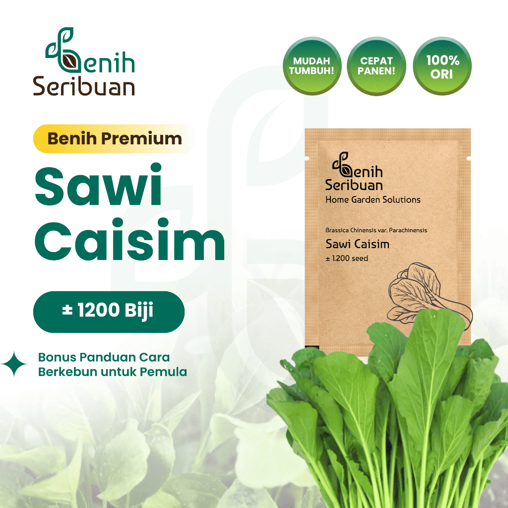 Jual Benih Seribuan - Benih Sayuran Sawi Caisim Unggul | Shopee Indonesia