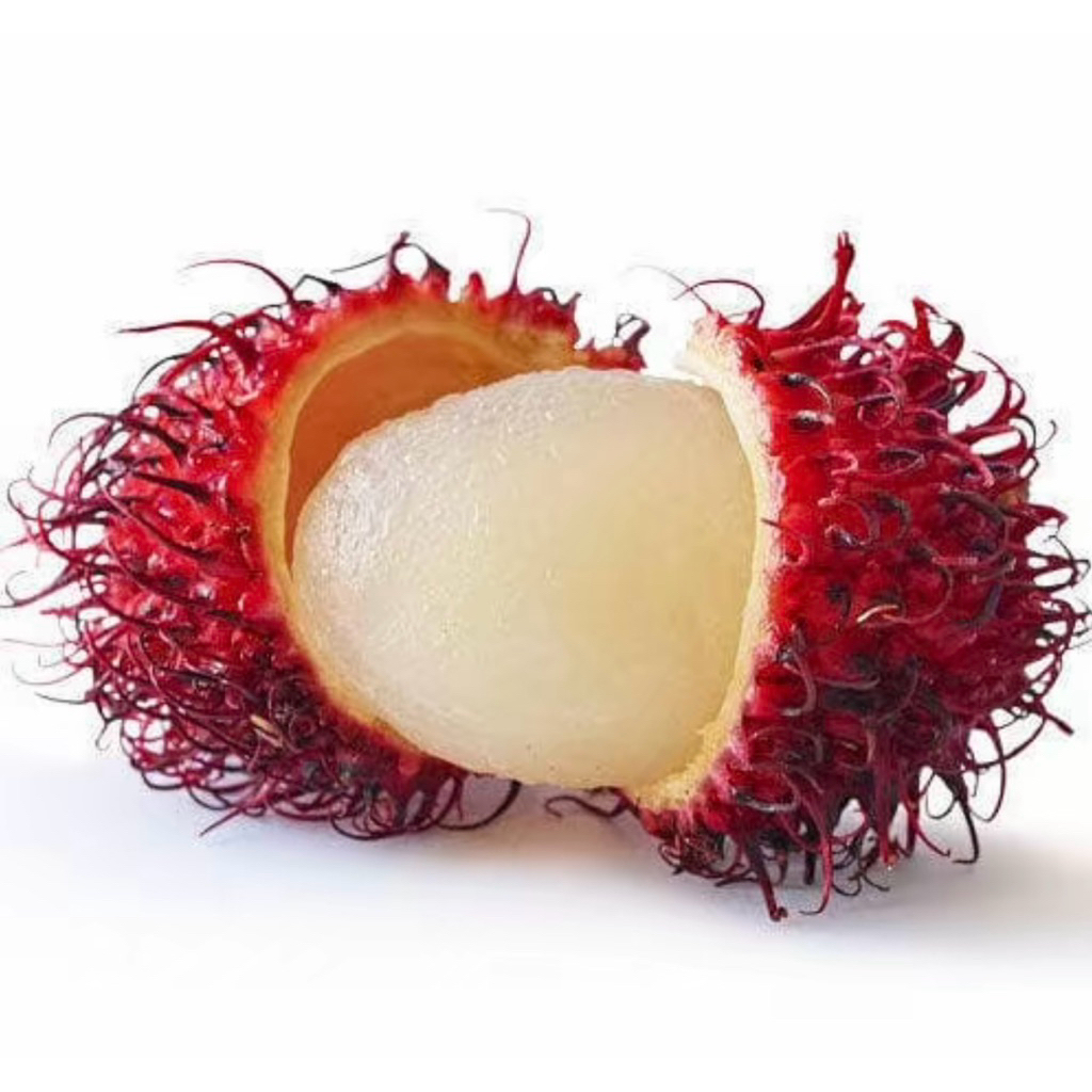 Jual Rambutan Binjay Super manis Fresh 500gram | Shopee Indonesia