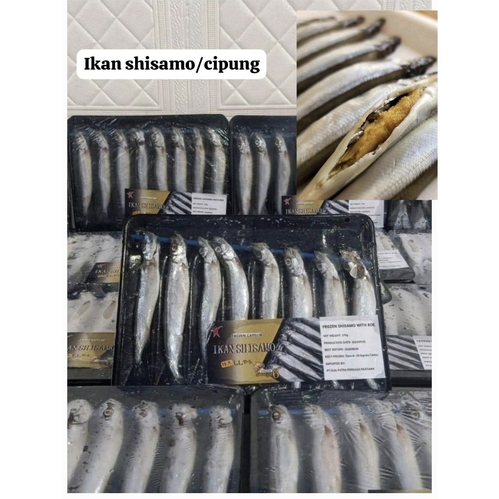 Jual Sishamo ikan cipung/ shisamo /Sisamo | Shopee Indonesia