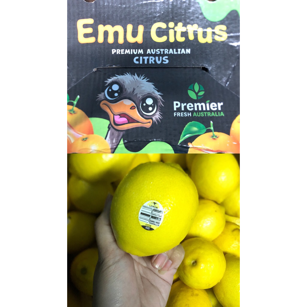 Jual Jeruk Lemon Australia Emu Citrus /kg | Shopee Indonesia