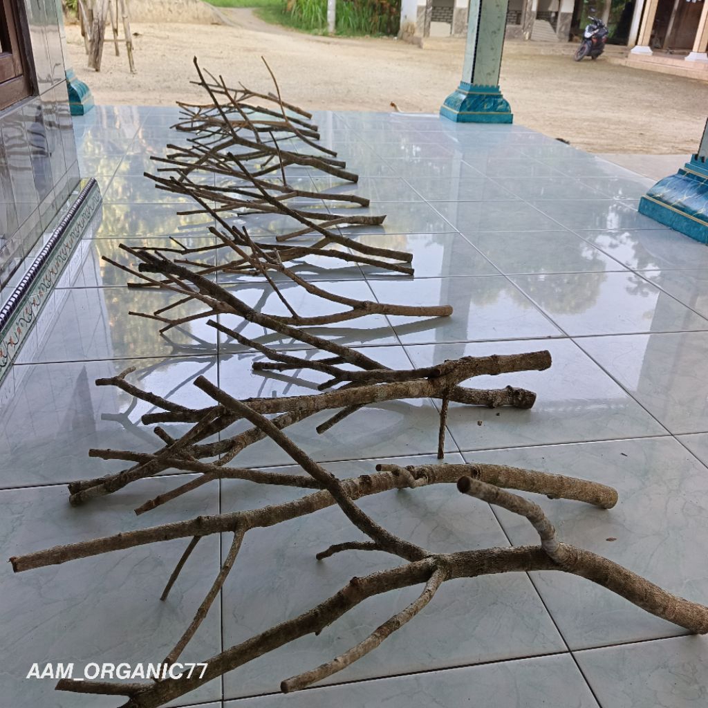 Jual Ranting Kayu Cabang Bahan Kerajinan Ranting Kayu Khas Madura ...