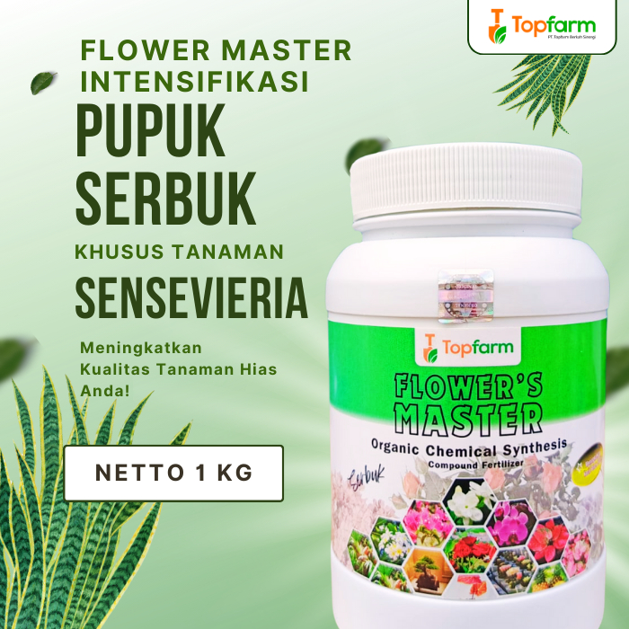 Pupuk Serbuk Topfarm / Pupuk Sansevieria Hybrid, Pagoda, Golden Flame / Pupuk Hias Lidah Mertua / Pupuk Penyubur Daun Lidah Mertua / Pupuk Khusus Daun Sansevieria / Pupuk Bunga Dan Tanaman Hias