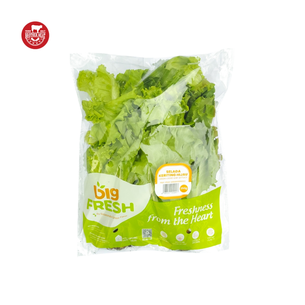 Jual Big Fresh Selada Keriting Hijau Fresh 250gr - Brothermeatshop ...