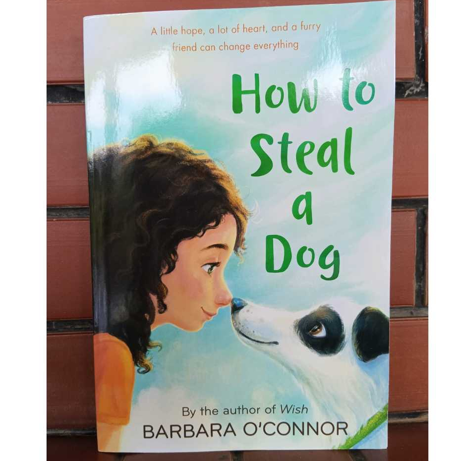 Jual How To Steal A Dog Barbara O'Connor Novel Young Adult Bahasa ...