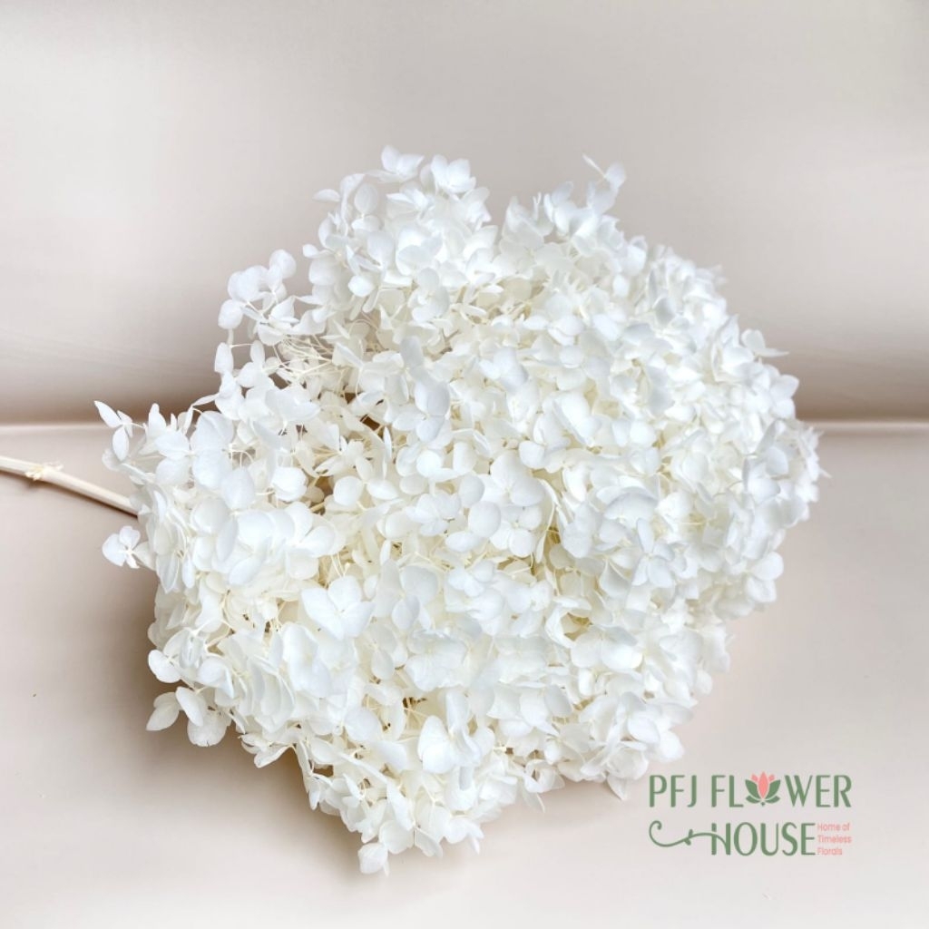 Hortensia Préservé Bleu Roi 20cm - Lavender Lady Paris, Pour Résine DIY