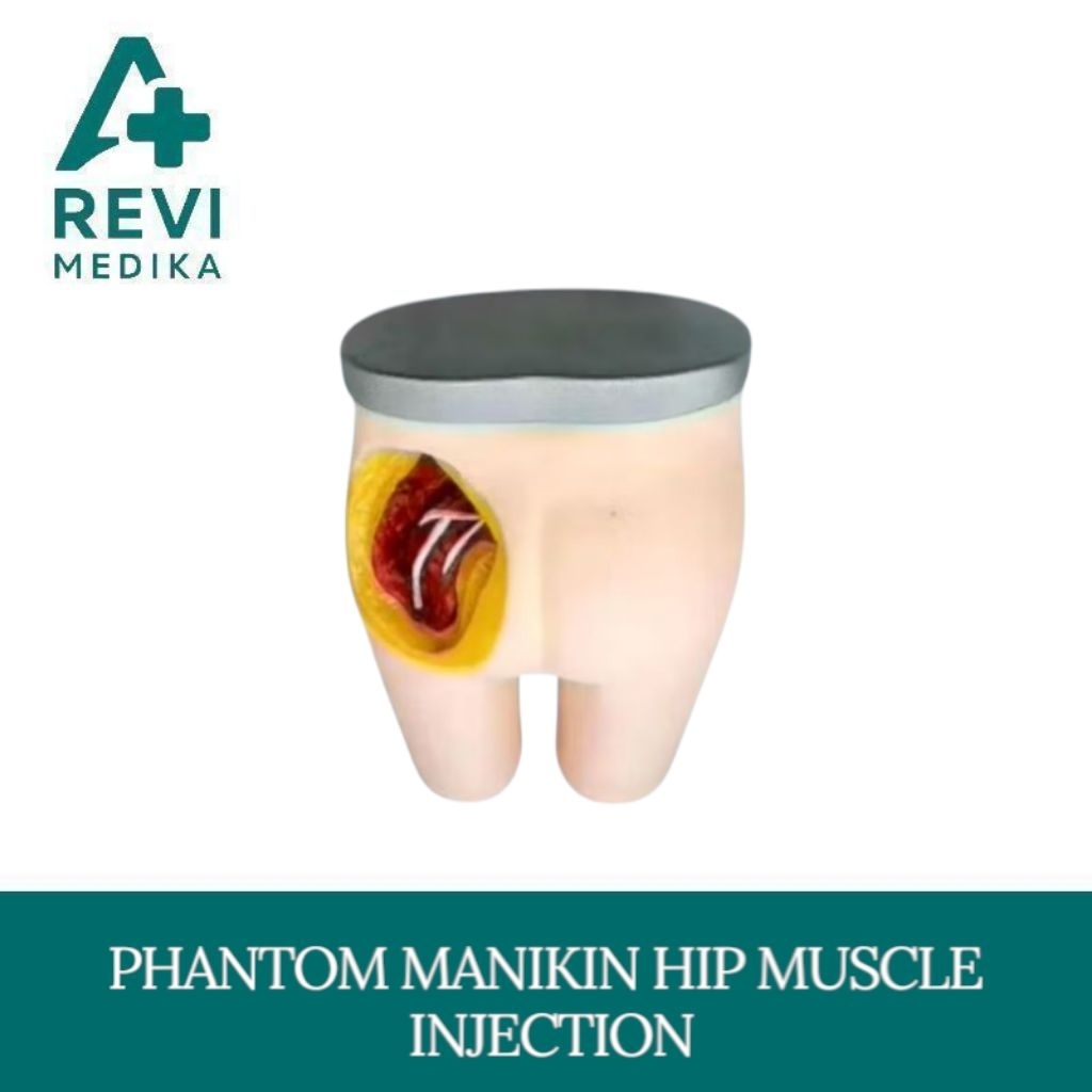 Jual Phantom Manikin HIP Muscle Injection Buttocks | Shopee Indonesia