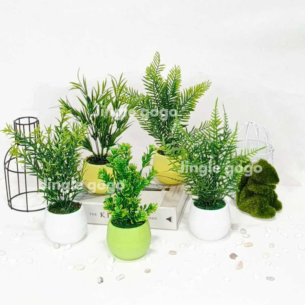 Jual Pot Mini Pakis Artificial Tanaman Hias Daun Cemara Pajangan Meja ...