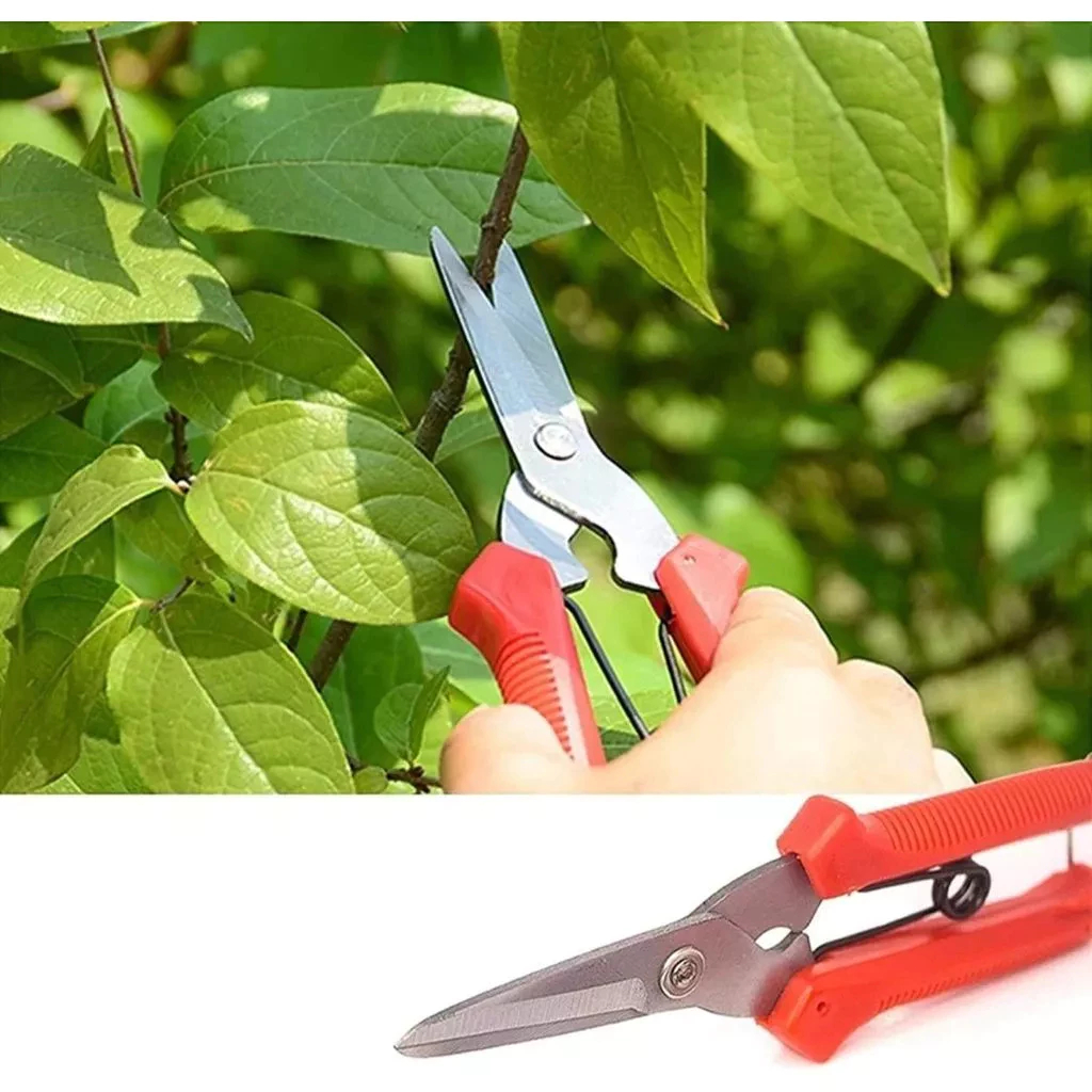 Jual Gunting Korea Per Serbaguna Ranting Seng Kawat Kain Kertas Holo ...