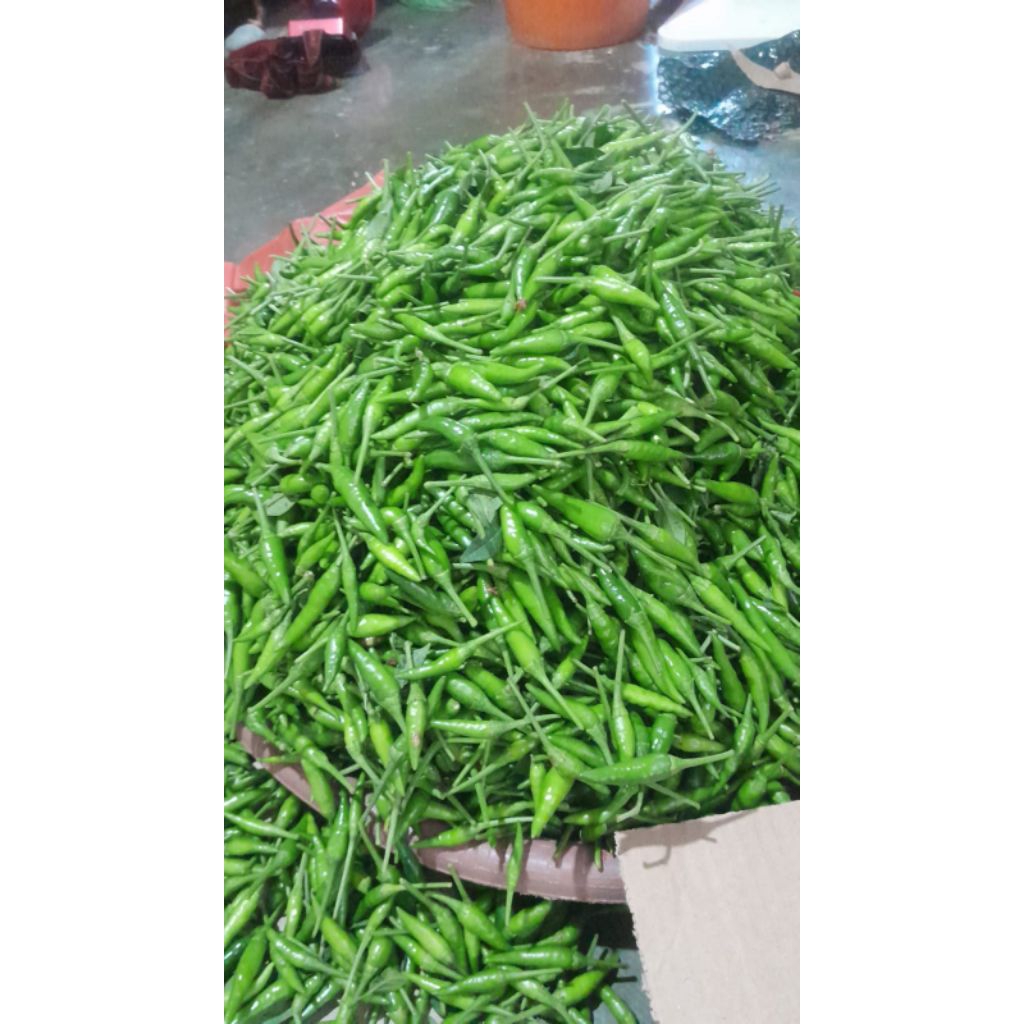 Jual cabai ijo/Cabe rawit caplak segar 1kg (khusus pulau jawa) | Shopee ...