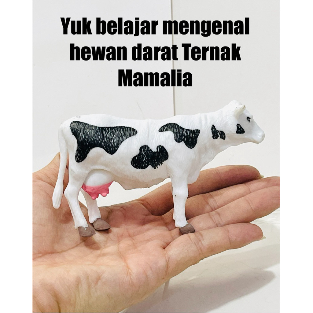 Jual Sapi Kerbau Domba Kambing Banteng - pajangan hewan k Sapi Domba ...