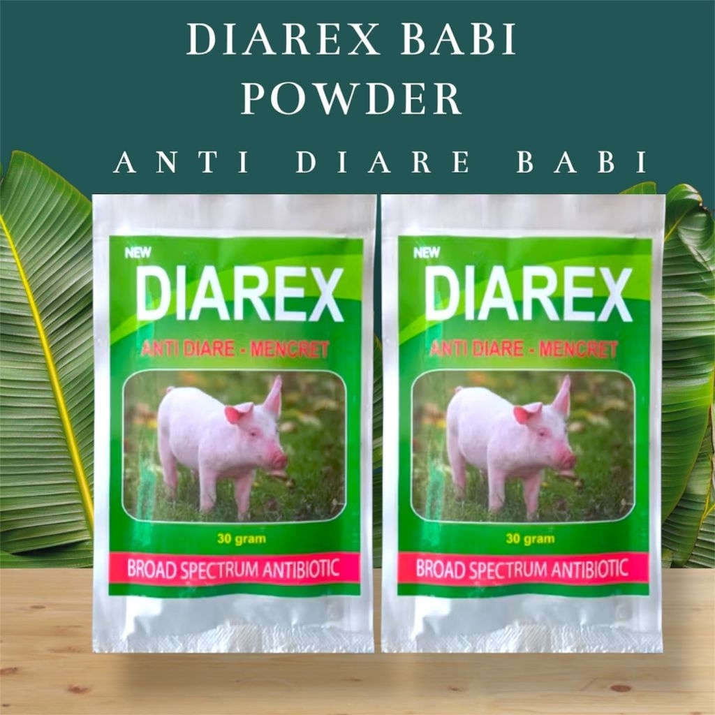 Jual Diarex 30gr, Obat Diare Mencret Babi | Shopee Indonesia