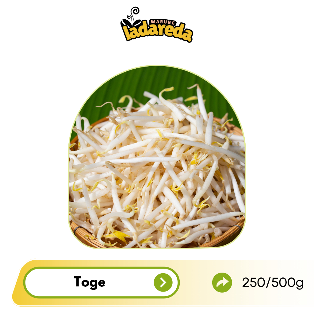 Jual Toge Segar 250gr | Kecambah Fresh Harian – Ladareda Mart | Shopee ...