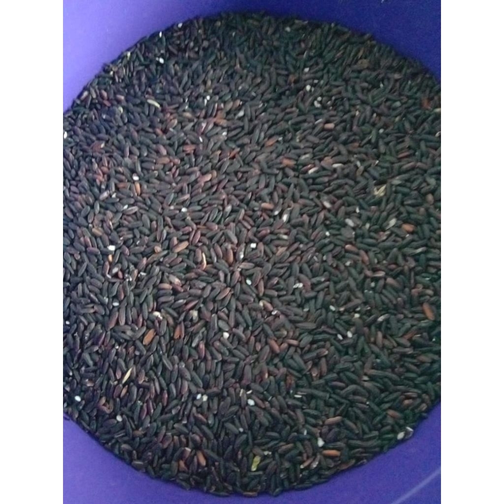 Jual ketan hitam/padi hitam kemasan 1kg | Shopee Indonesia