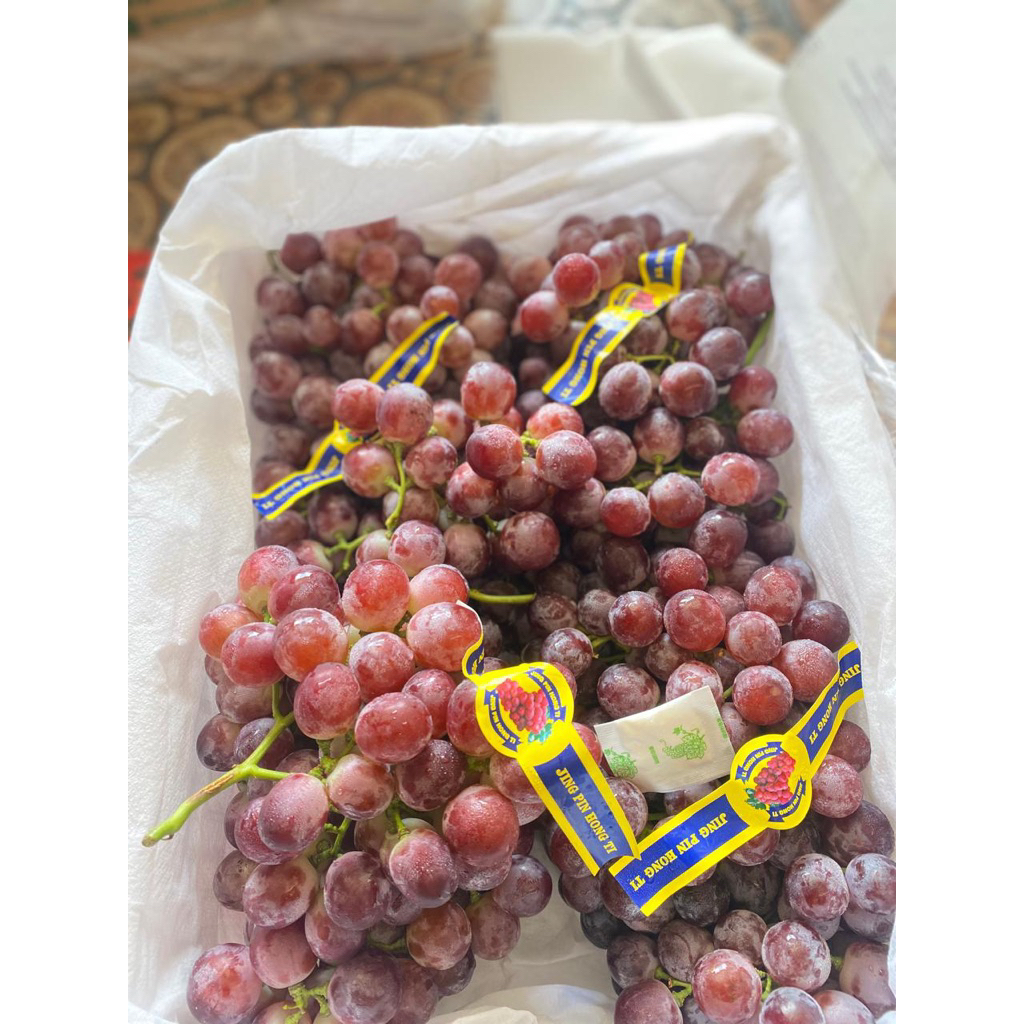 Jual anggur merah rrc 1/2 kg | Shopee Indonesia