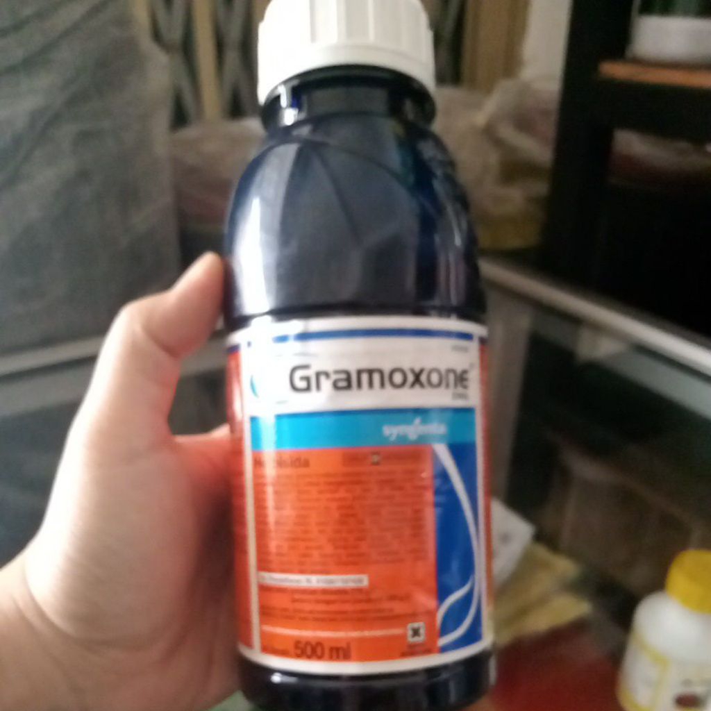 Jual obat rumput gramoxone 500ml | Shopee Indonesia