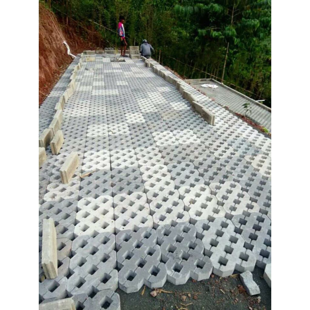 Jual Paving Block Pres Hidrolik Paving Bata Ubin Hexagon Grass Block ...