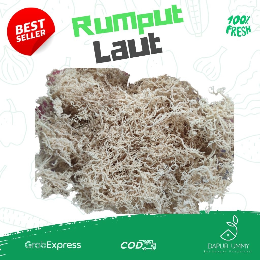 Jual RUMPUT LAUT • Rumput Laut Kering 100gr - 250gr | Shopee Indonesia