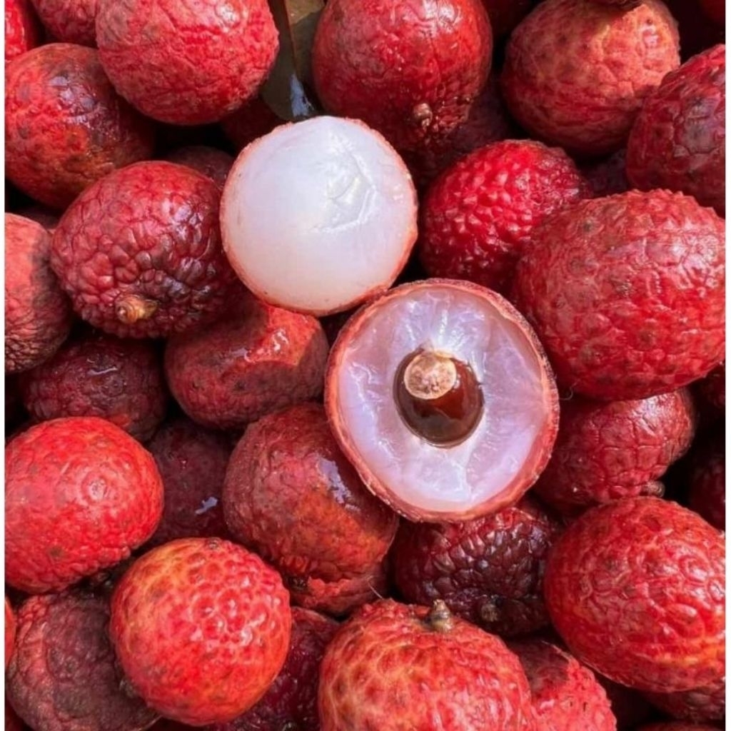 Jual BUAH LECI MADU HIJAU /LECHI MANIS SEGER | Shopee Indonesia