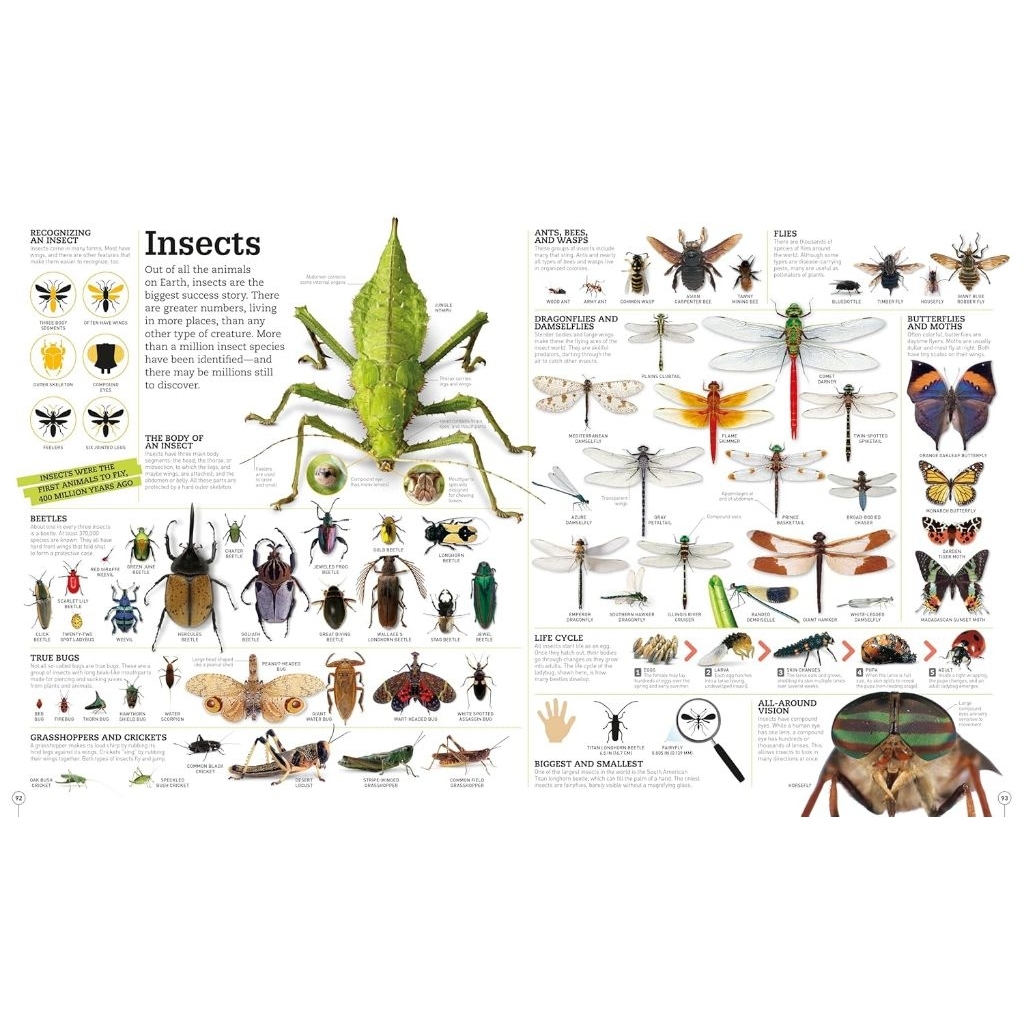 Jual (Minor) DK Picturepedia - An Encyclopedia on every page (New ...